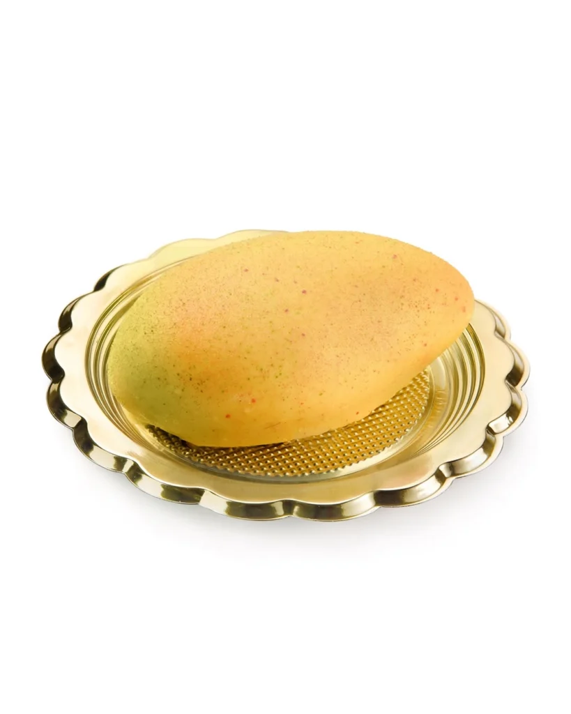 Linkfood Srl - Petrosino Frutta realistica mango